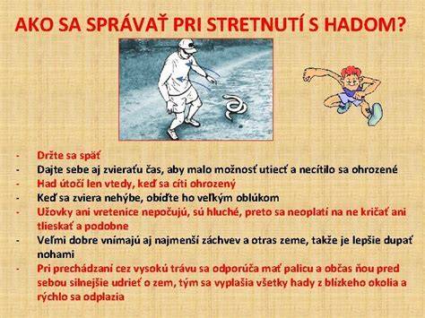 ilustrácia varovných signálov psa (vrčanie, naježená srsť, cerenie zubov)