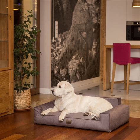 Ukážka rôznych materiálov na pelechy pre psov