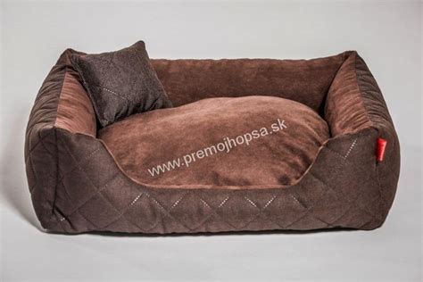 Mapa domu s vyznačenými vhodnými a nevhodnými miestami pre pelech psa