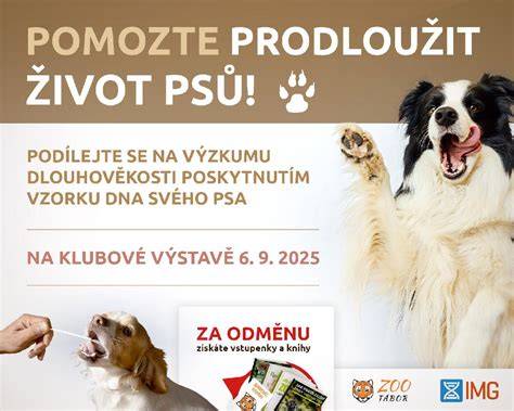 rozhodca posudzujúci psa na výstave