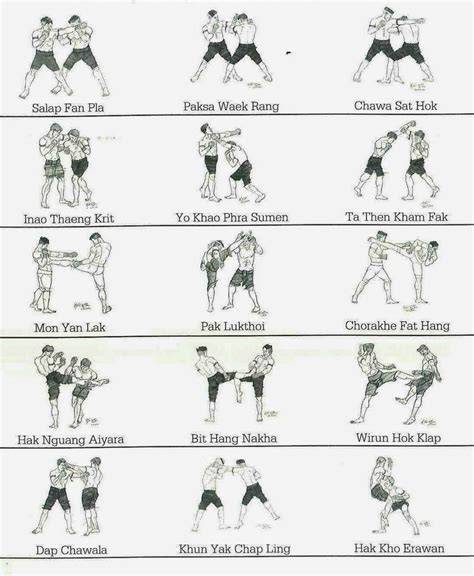 Infografika: Základné techniky úderov a kopov v boxe, kickboxe a Muay Thai