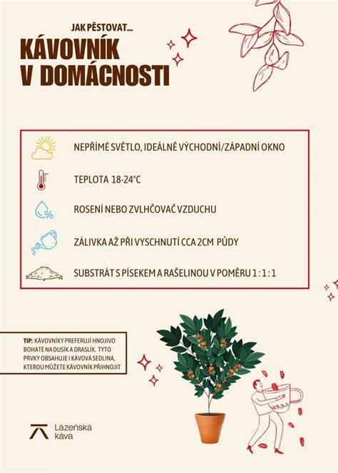 Infografika: Enrichment actívny plán pre husky doma