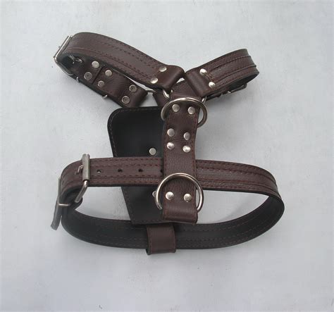 Potreby pre psa - postroj a košík