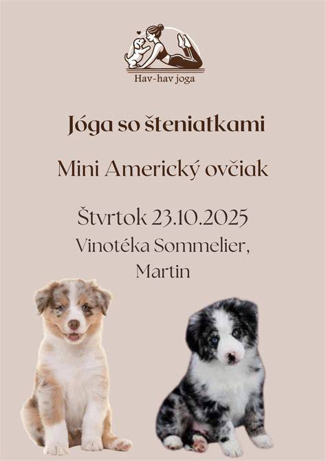 pôrodný box so šteniatkami a výhrevnou lampou