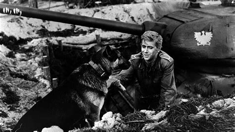 Štyria tankisti a pes Šarik v akcii