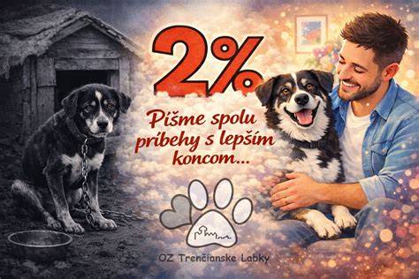 Ilustratívna infografika: správne socializované šteniatka