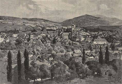 Historické fotografie francúzskeho buldoga z 19. storočia