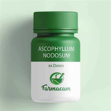Ilustrácia účinku Ascophyllum nodosum na ústnu dutinu