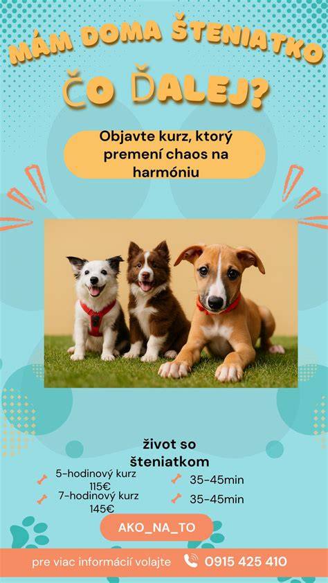FAQ: Praktické rady pre prvé mesiace so šteniatkom