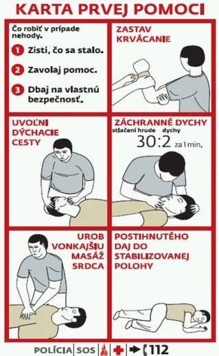 Infografika: postup poskytovania pomoci pre bezdomovcov v Michalovciach