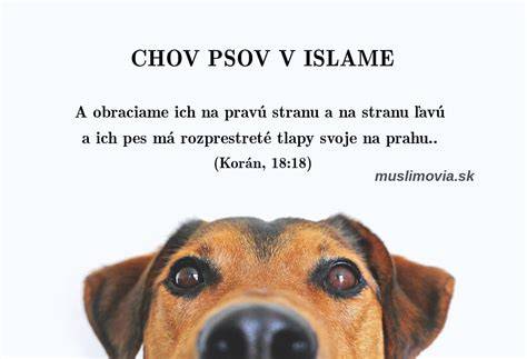 Infografika: Vývin čiernych psov cez kultúry a čas