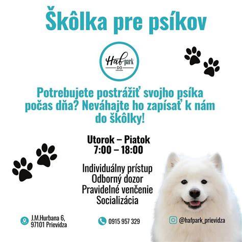 Infografika: Spúšťače plynatosti a riešenia pre psov