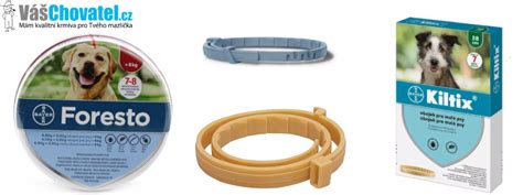 Ilustrácia psa s antiparazitným obojkom