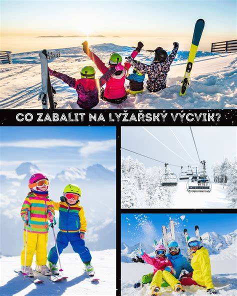 Infografika: Vlastnosti Írskeho setra a tipy na výcvik