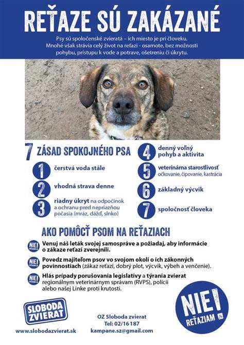 Infografika: Zmeny v zákone a alternatívy chovu psa bez reťaze