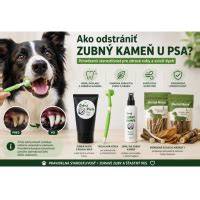 Infografika: Ako vzniká zubný kameň u psa a kroky prevencie