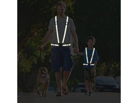 Bezpečnostné prvky pre psov na túrach: postroj, reflexné prvky, LED