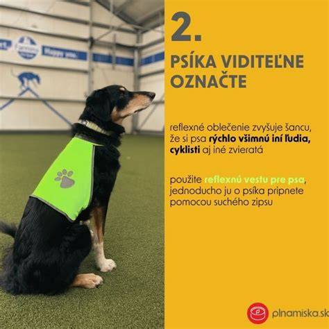 Vizualizácia výbavy pre bezpečné venčenie v lese