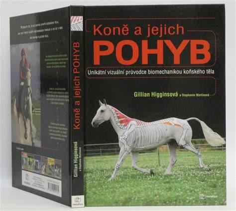 Obrázok ukazujúci typický pohyb a výraz ČSV
