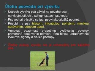 Infografika: Základy efektívneho výcviku psov a postupy