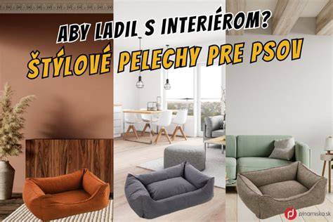 Infografika: Ako vybrať a umiestniť pelech pre psa