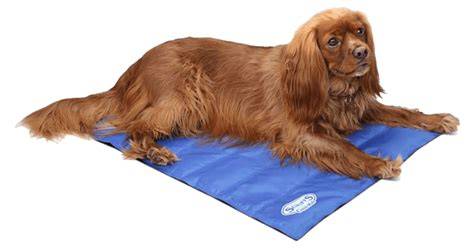 Chladiaca podložka Scruffs Self-Cooling Mat