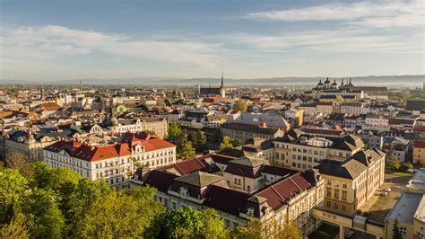 Ilustrácia zobrazujúca historické fotografie yorkšírskych teriérov.