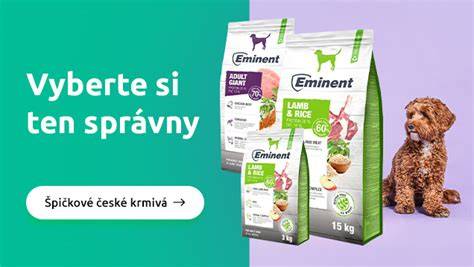 Chovateľ potrebuje seriózny prístup a ukážky zdravotných vyšetrení