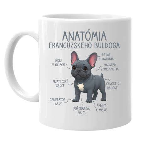 Infografika o starostlivosti a zdravotných rizikách francúzskeho buldoga