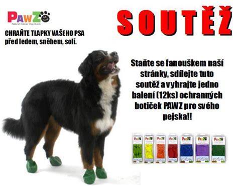 Gumy Pawz: príklad odolných labkových ochranných ponožiek