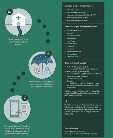 Infografika: Cesta psieho herca od castingu po natáčanie