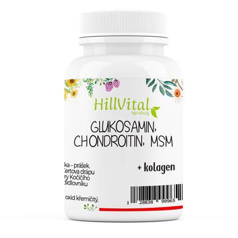 vizualizácia: prehľad hlavných zložiek doplnkov (glukozamín, chondroitín, MSM, omega-3/6, vitamíny)