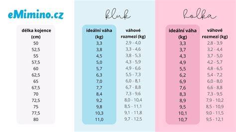 Infografika: Všeobecné charakteristiky zlatého retrívra (veľkosť, váha, výška, vegetačné požiadavky)