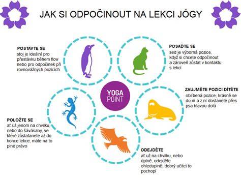 Infografika o pravidelnom cvičení psa a dôležitosti regenerácie