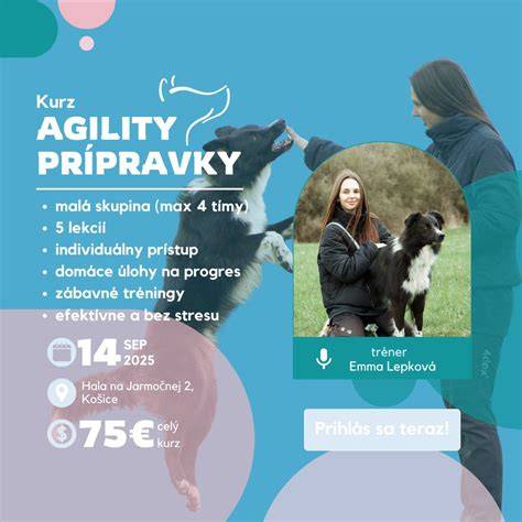 Infografika: možné psie športy pre pudla