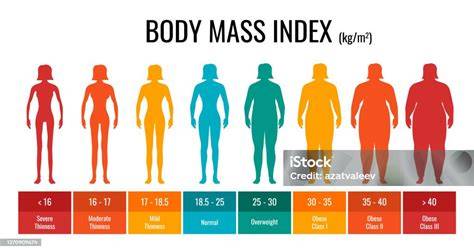 Infografika o výške, hmotnosti a vzhľade staforda