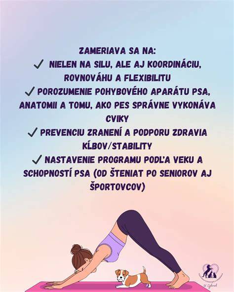Diagram socializácie a tréningu psa vo veku šteniat
