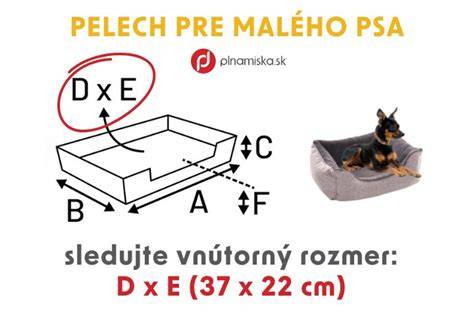 Infografika: Ako vybrať ortopedický pelech pre psa - tipy na veľkosť, materiály a údržbu