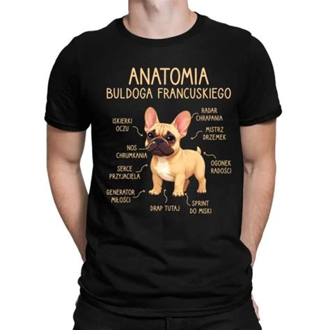 Ilustrácia francúzskeho buldočka s typickými znakmi