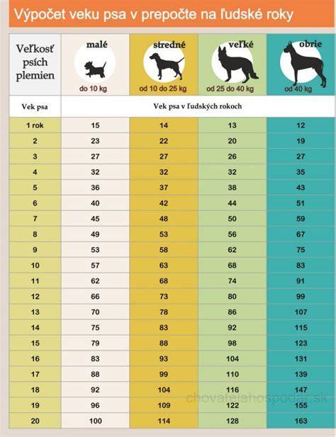 Infografika: Ako sa počítajú psie roky podľa veľkosti psa a veku