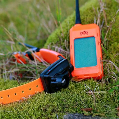 Vizualizácia systému GPS obojku s výcvikom a špeciálnym lokátorom