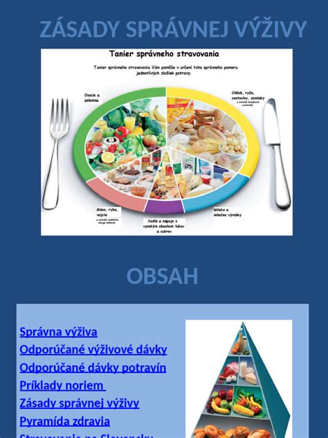 Ilustrácia správnej výživy psa