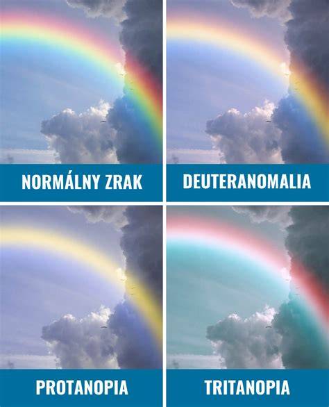 Infografika o porozumení psieho zraku a farebnému videníu u psov (modrá a žltá) - ako vidia svet