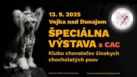 Infografika: História čínskych chocholatých psov a ich migračné vlny po svete