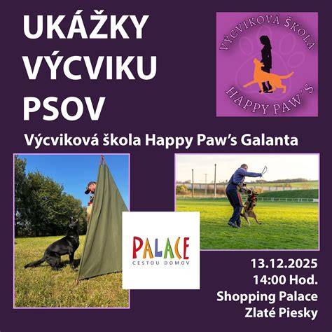 timeline výcviku vodiacich psov