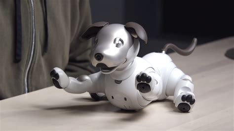 Robotický pes Sony Aibo