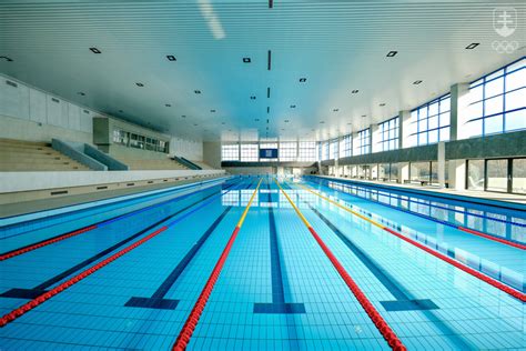 Pohľad na psiu plaváreň v Nemecku