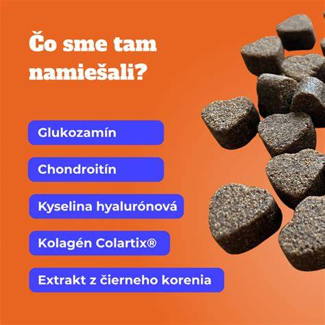 Strava a starostlivosť o kĺby rotvajlera