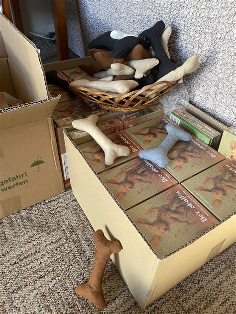 Ilustrácia správneho nasadenia obojku