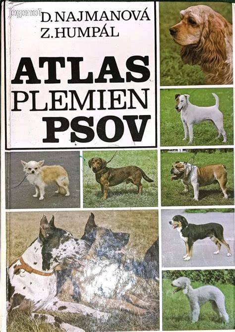 Koláž rôznych plemien psov v čiernobielych obrysoch